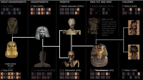 king Tut's history from the eygptian history