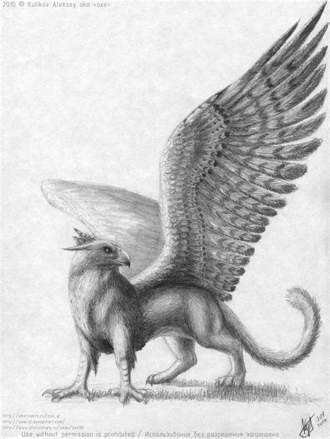 GRIFFINS - Google Search | Griffin drawing, Griffin tattoo, Griffin ...