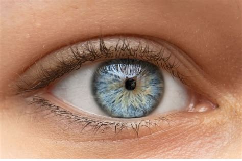 Miosis (Constricted Pupils): Causes and When to See a Doctor | MyVision.org