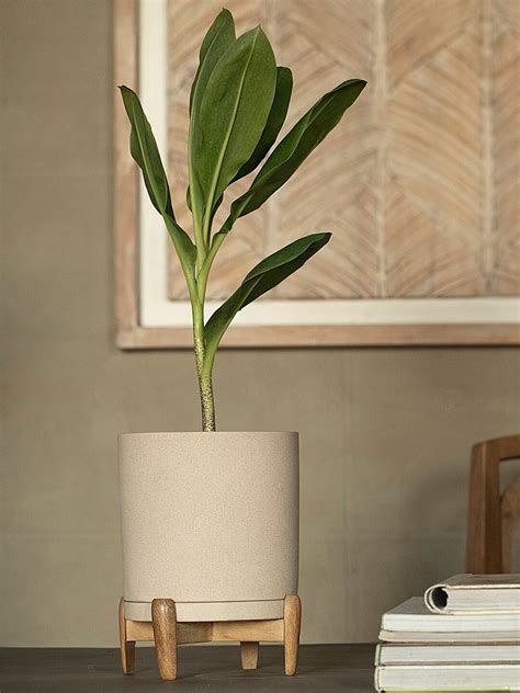 Buy Home Centre Beige Textured Ceramic Planter - - Home for Unisex - Wishupon