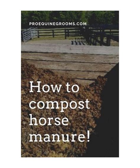 How To Compost Horse Manure