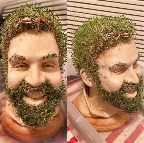 Custom Chia Pet Bust | Etsy