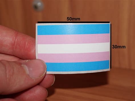Transgender pride flag sticker – PridePoint