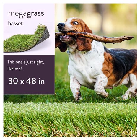 MegaGrass Basset 30 x 48 in Artificial Grass for Medium Pet Dog Potty Indoor/Outoor Area Rug ...