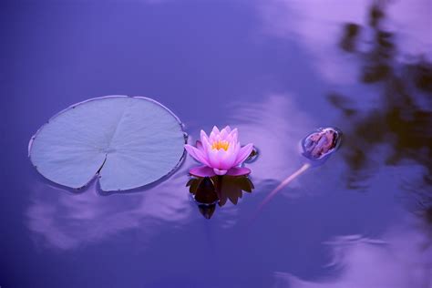 The mind's mirror - Melbourne Aikido