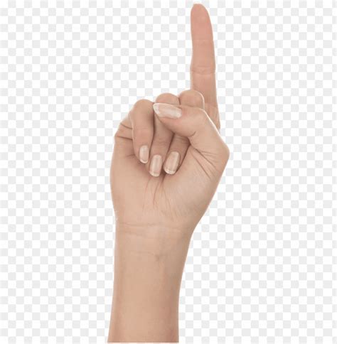 Free download | HD PNG Transparent background PNG image of one finger hand - Image ID 22703 | TOPpng