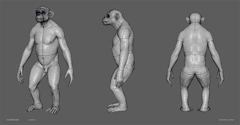 ArtStation - MONKEY - Chimpanzee – sculpt/retopology/skeleton/muscles ...