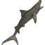 Large Tiger Shark - Shroud of the Avatar Wiki - SotA