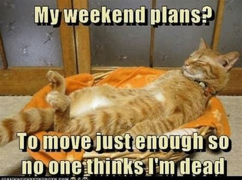 101 Funny Weekend Memes to Celebrate the End of a Long Week at Work