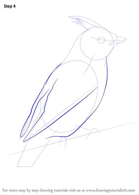 Learn How to Draw Bohemian Waxwing (Birds) Step by Step : Drawing Tutorials