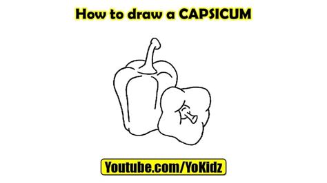 How to draw a Capsicum In this post, we are going to learn How to draw Capsicum step by step ...