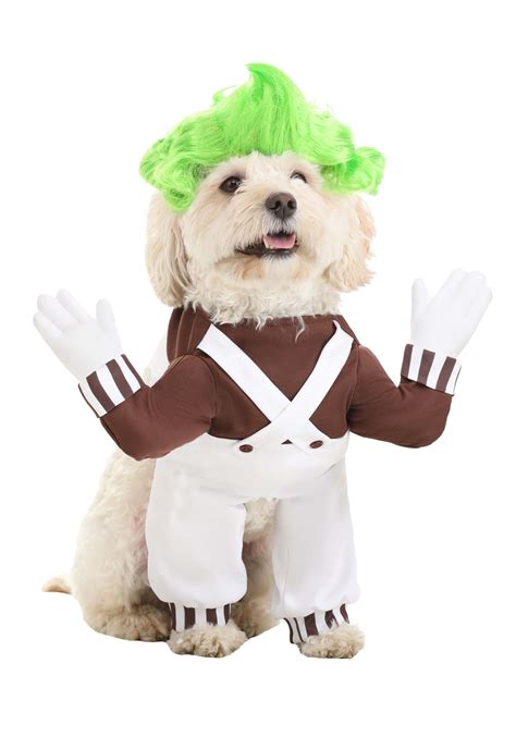 Dog Oompa Loompa Costume