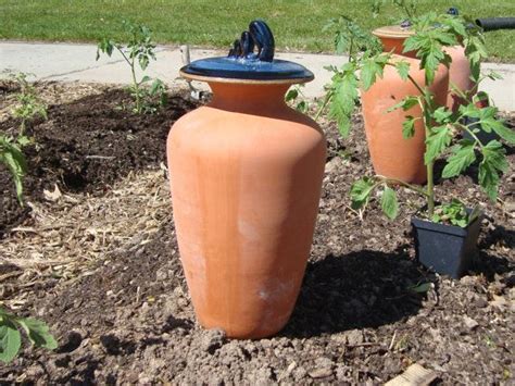 1.25 Gallon Olla Watering Pots with choice of lid | Etsy | Watering, Water plants, Olla