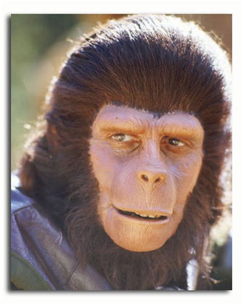 (SS3400644) Television picture of Planet of the Apes buy celebrity photos and posters at ...