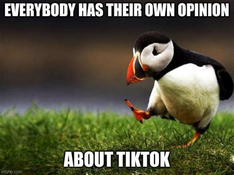 Unpopular Opinion Puffin Meme - Imgflip