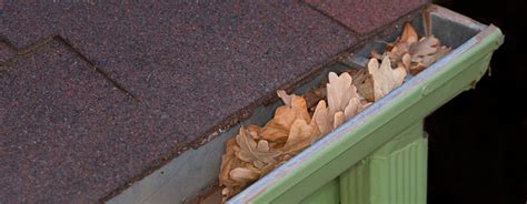 Cleaning and Maintaining Your Rain Gutters