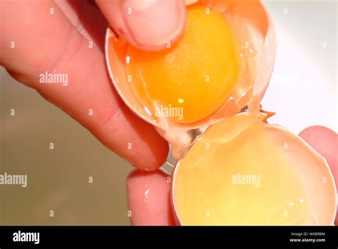 how to make mayonaise Stock Photo - Alamy