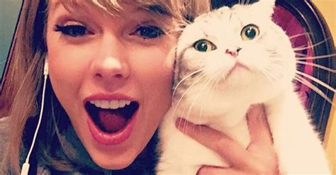 2015, As Reviewed By Taylor Swift's Cats | HuffPost