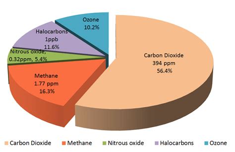 √100以上 greenhouse gases pie chart ncert 347433