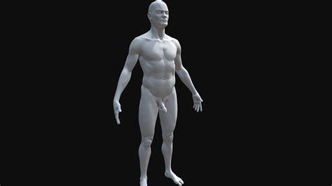 Human Male Body - Free / Downloadable - Download Free 3D model by Orthovasky [e1e7145] - Sketchfab