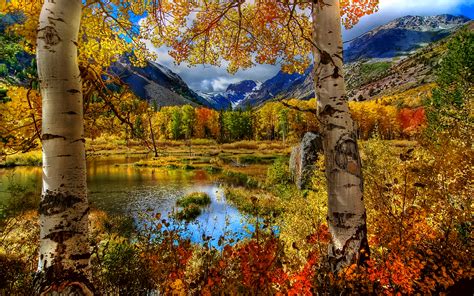 Serene Autumn Landscape HD Wallpaper