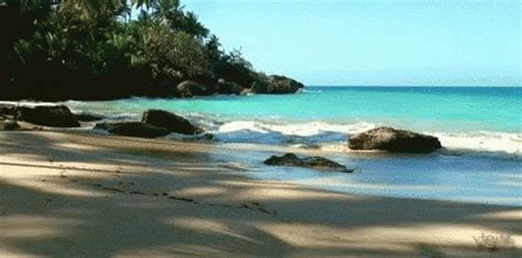 Ocean Shore GIF - Ocean Shore Beach - Discover & Share GIFs