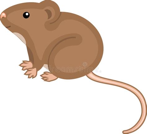 Cute Cartoon Brown House Mouse on White Background Stock Vector ...