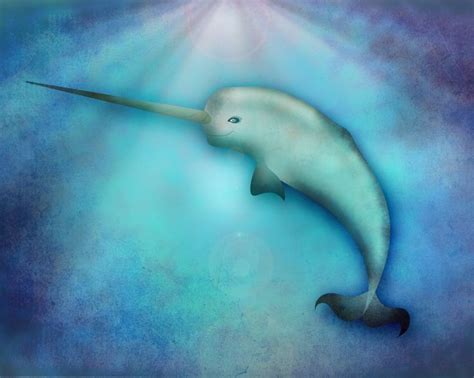 Day 14 - Narwhal | Illustration art, Narwhal, Art