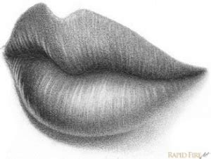 Closed Lips Drawing at PaintingValley.com | Explore collection of ...