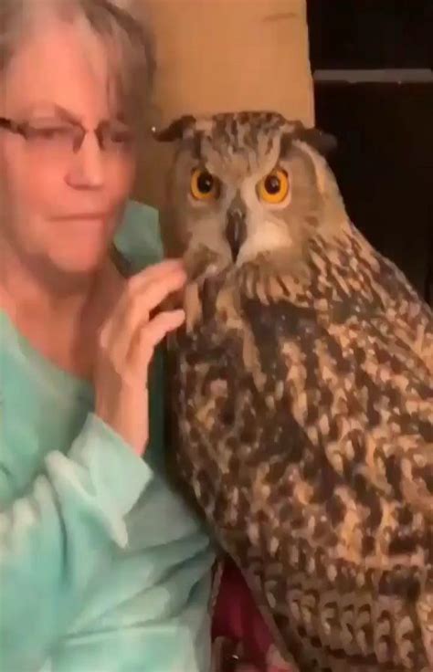Owls Lover Club on Instagram: “Grandma can only learn to Love by loving. 😮🥰🦉💓 .. Don’t forget to ...