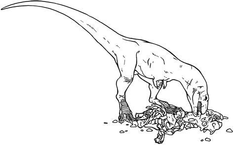 Bite marks on the frill of a juvenile Centrosaurus from the Late Cretaceous Dinosaur Provincial ...