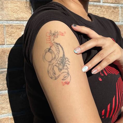 ⋆｡ﾟzodiac｡⋆｡tattoo ﾟ☾ ﾟ｡⋆ | Chinese zodiac tattoo, Zodiac tattoos ...