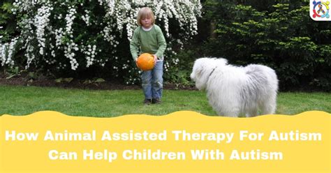 How Animal Assisted Therapy For Autism Can Help Children With Autism