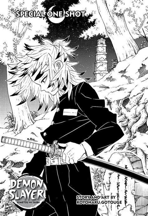 Read Manga Demon Slayer: Kimetsu no Yaiba - Chapter 206