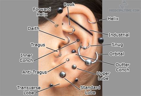 How Much Does an Ear Piercing Cost? | HowMuchIsIt.org