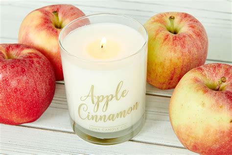 Fall Scented Candle, Apple Cinnamon Natural Soy Wax Scented Candle With ...