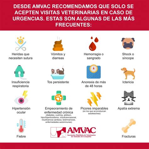 AMVAC recuerda las urgencias más frecuentes por las que sí se debe ...