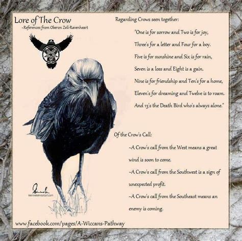 Lore of the Crow | Crow, Animal spirit guides, Animal totems