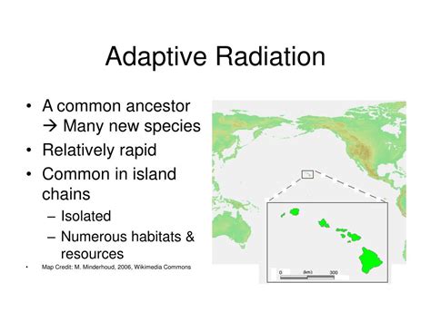 PPT - Species and Speciation PowerPoint Presentation, free download ...