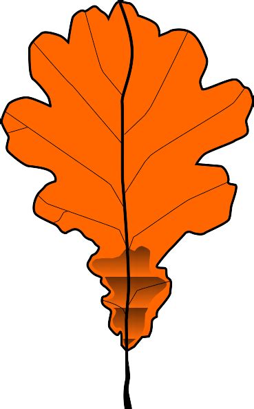 Download Brown Fall Leaves Vector Drawing SVG | FreePNGImg