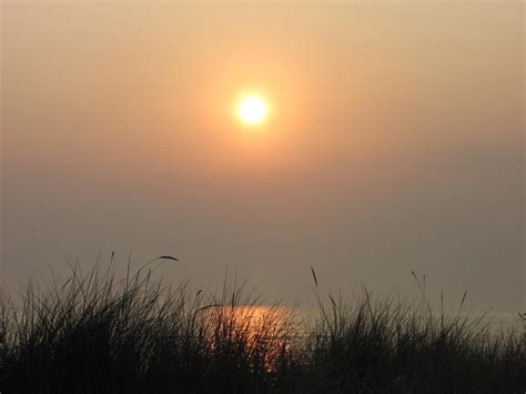 Free Images : water, nature, horizon, sky, fog, sunrise, sunset, mist, prairie, sunlight, wave ...