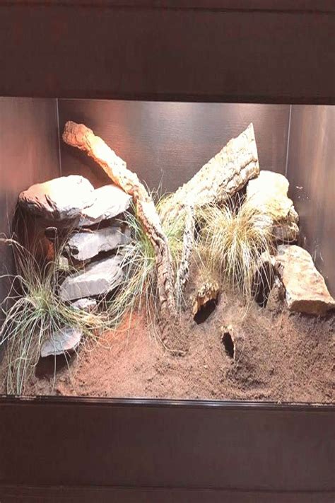 Vivarium Gif