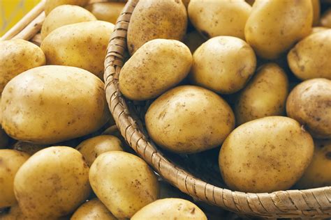 What Happens If A Dog Eats Potatoes: Unveiling The Risks And Remedies