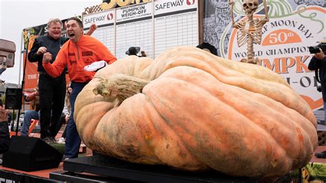 This year's heaviest pumpkin could be baked into 700 pies - Trendradars ...