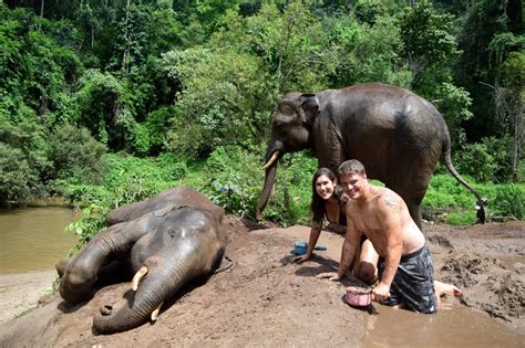 How to Ethically Visit Elephants in Thailand - Our Escape Clause
