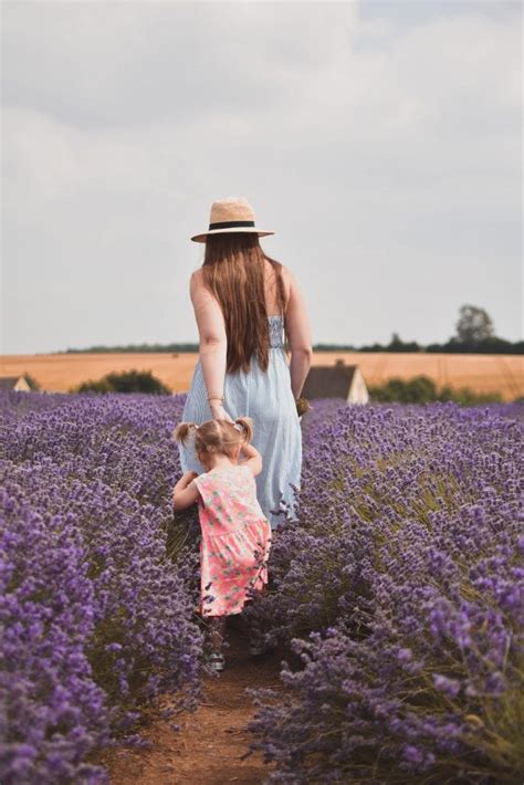 A Visit To The Cotswold Lavender Fields - What Stacy Did