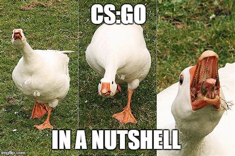 CS:GO in a nutshell - Imgflip