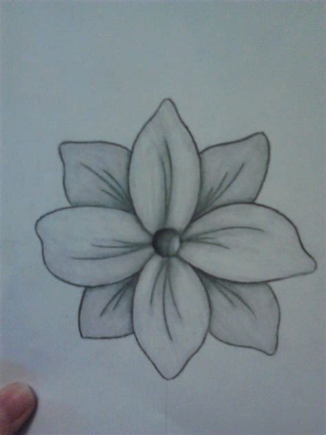 Easy Flower Drawings In Pencil / Drawing a daisy is easy and similar to ...