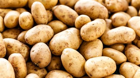 Potato nutrition facts & health benefits | Live Science