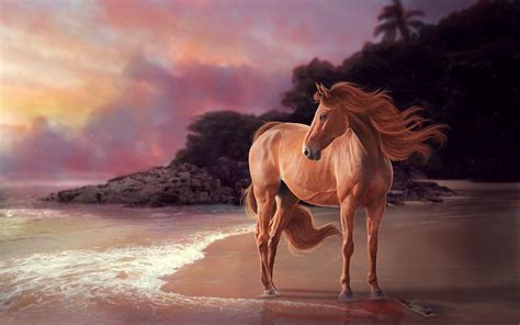 Horse On Beach Wallpapers - Top Free Horse On Beach Backgrounds - WallpaperAccess